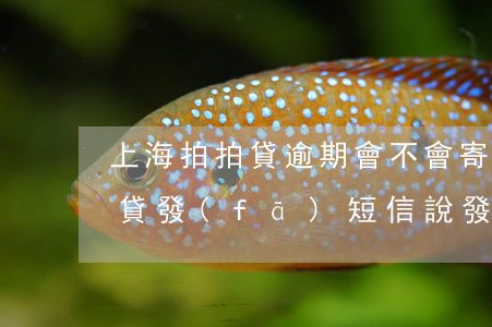 上海拍拍貸逾期會不會寄律師函-上海拍拍貸發(fā)短信說發(fā)律師函真的假的