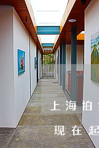 上海拍拍贷逾期会被告吗(上海拍拍贷,逾期了,现在起诉我,是真是)
