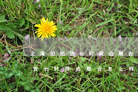上海拍拍贷长时间逾期会怎么样-上海拍拍贷长时间逾期会怎么样啊