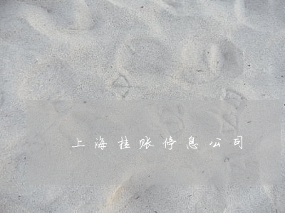 上海挂账停息公司