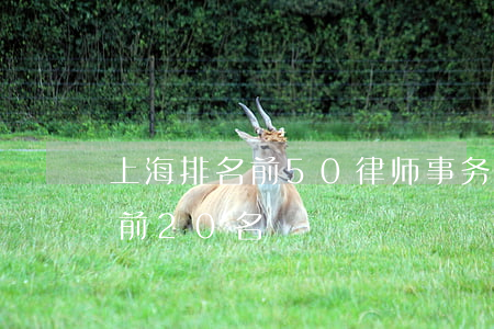上海排名前50律师事务所(上海律师所排名前20名)