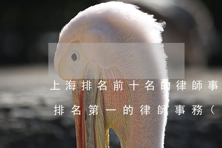 上海排名前十名的律師事務(wù)所(上海排名第一的律師事務(wù)所)