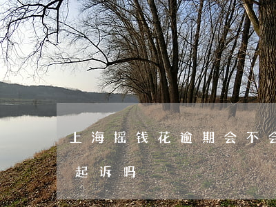 上海摇钱花逾期会不会被起诉-摇钱花会被起诉吗