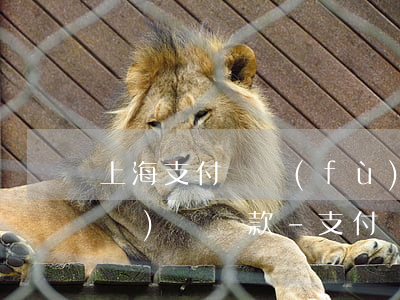 上海支付寶負(fù)債逾期如何規(guī)劃還款-支付寶逾期上岸