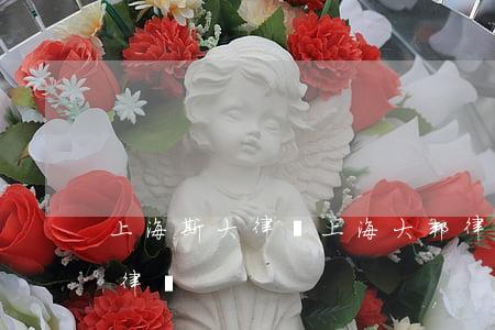 上海斯大律師(上海大邦律師事務(wù)所律師)