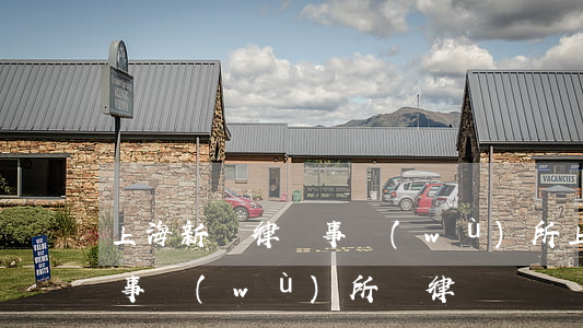 上海新閔律師事務(wù)所(上海新閔律師事務(wù)所吳律師)