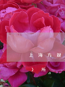 上海方銳律師沈媛(上海方銳律師事務(wù)所)