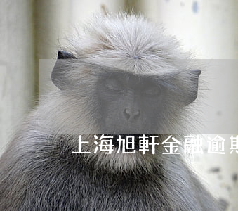 上海旭軒金融逾期(上海旭軒金融逾期)