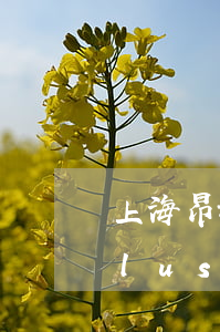 上海昂科威分期免息(別克昂科威2021plus分期)