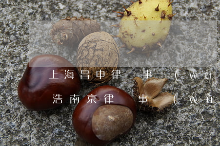 上海昌申律師事務(wù)所顧鶴東(上海申浩南京律師事務(wù)所)