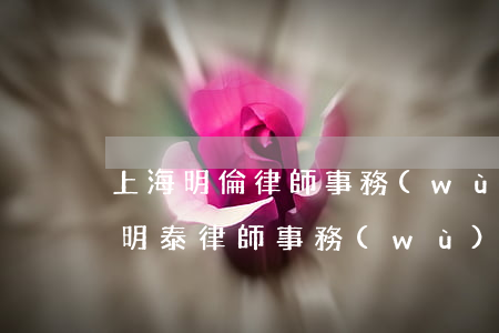 上海明倫律師事務(wù)所律師名單(上海明泰律師事務(wù)所)