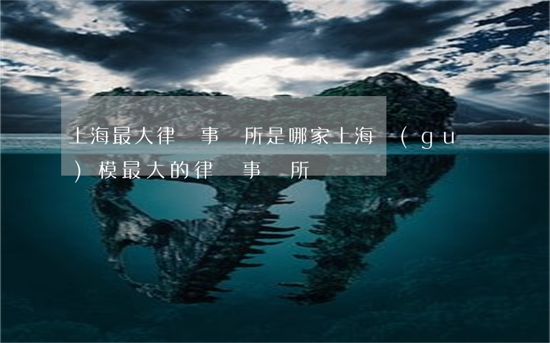 上海最大律師事務所是哪家(上海規(guī)模最大的律師事務所)
