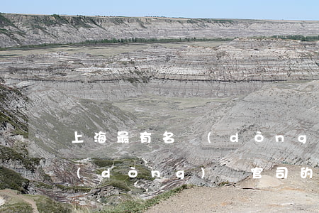 上海最有名動(dòng)遷律師(上海的動(dòng)遷官司的著名律師)