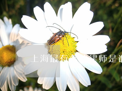 上海最有名的律师是谁(上海有名气的律师)