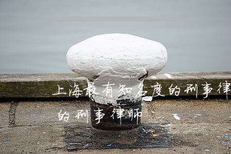 上海最有知名度的刑事律师(上海最有知名度的刑事律师)