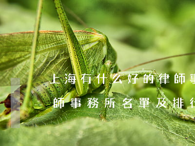 上海有什么好的律師事務所(上海比較好的律師事務所名單及排行榜) 上海有什么好的律師事務所(上海比較好的律師事務所名單及排行榜)