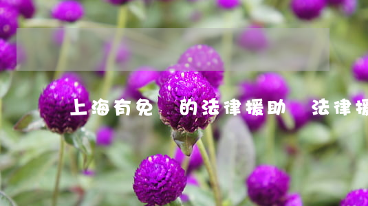 上海有免費的法律援助嗎(法律援助上海熱線)