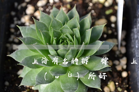 上海有名的拆遷律師團(上海哪個拆遷律師事務(wù)所好)