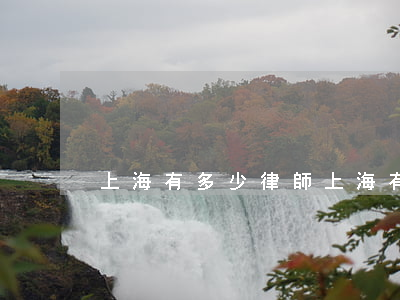 上海有多少律師(上海有多少律師人員)