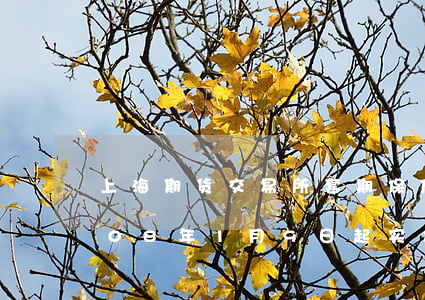 上海期货交易所套期保值交易管理办法（2008年1月9日起实施）