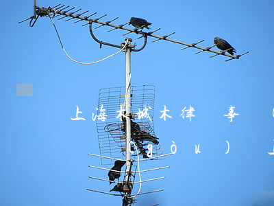 上海木城木律師事務(wù)所是一個法律機構(gòu)嗎(上海木誠木律師好不好)