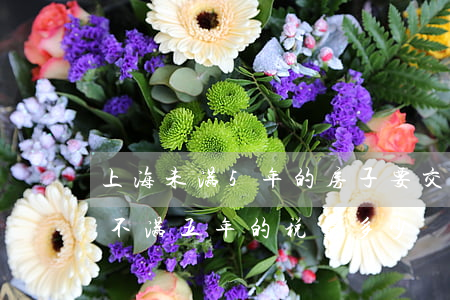 上海未满5年的房子要交多少税?(上海二手房不满五年的税费多少)