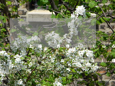 上海東方律師網(wǎng)查律師(東方律師網(wǎng) 律師查詢)