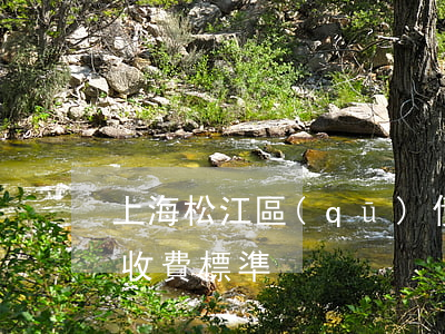 上海松江區(qū)債務(wù)糾紛律師收費標準