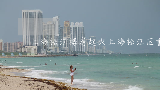 上海松江楼房起火(上海松江区重大事件)
