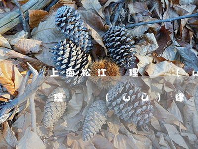 上海松江處理債務(wù)律師(上海松江處理債務(wù)律師)
