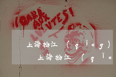 上海松江請(qǐng)個(gè)最好律師(上海松江請(qǐng)個(gè)最好律師)