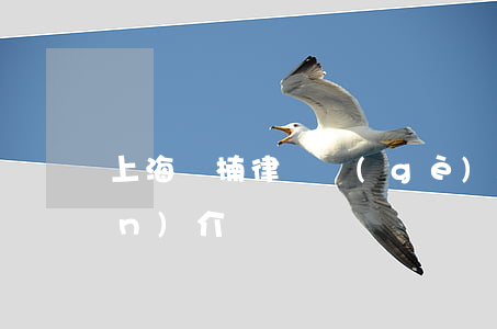 上海楊楠律師個(gè)人資料簡(jiǎn)介