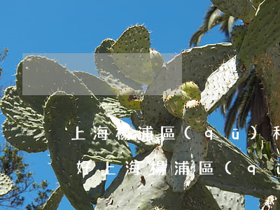 上海楊浦區(qū)和靜安區(qū)哪個好(上海楊浦區(qū)和靜安區(qū)哪個好)