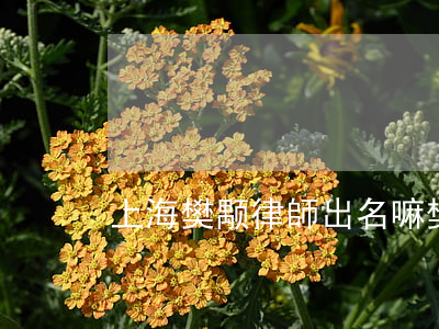 上海樊颙律師出名嘛(樊颙 律師)