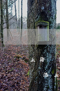 上海標(biāo)勝律師事務(wù)所黃浩(上海標(biāo)勝律師事務(wù)所黃浩)