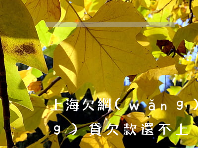 上海欠網(wǎng)貸還不上(網(wǎng)貸欠款還不上)