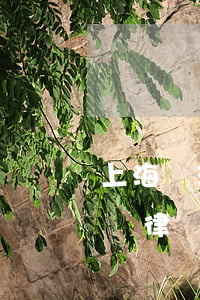 上海歐瑞騰律師事務(wù)所怎么樣(歐瑞騰律師事務(wù)所全部律師名單)