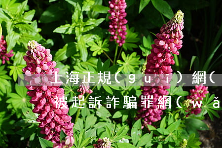 上海正規(guī)網(wǎng)貸逾期被起訴詐騙罪 網(wǎng)貸逾期15000被起訴詐騙罪