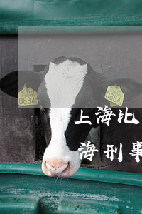 上海比較出名的刑事律師事務(wù)所(上海刑事案件律師事務(wù)所排名)