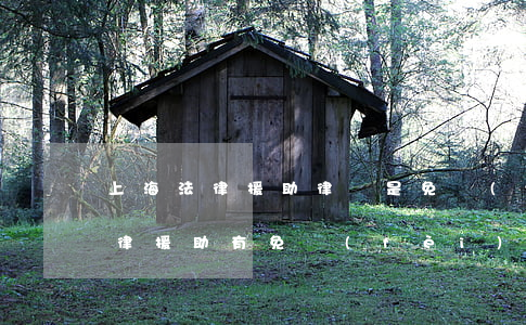 上海法律援助律師是免費(fèi)的嗎(法律援助有免費(fèi)律師嗎)