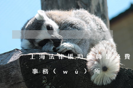 上海法律援助律師是免費的嗎(上海援助律師事務(wù)所)