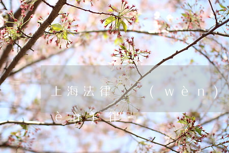 上海法律顧問(wèn)(上海法律顧問(wèn)律師電話)
