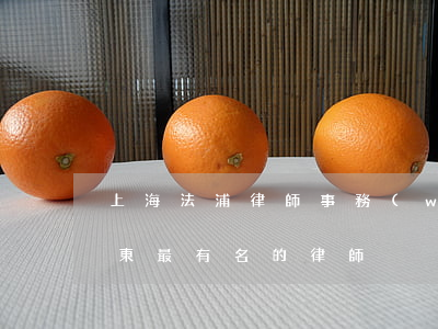 上海法浦律師事務(wù)所怎么樣(上海浦東最有名的律師)