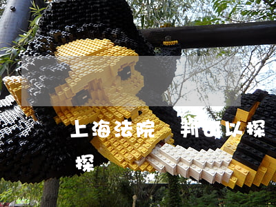 上海法院審判可以探訪嗎(上海法院審判可以探訪嗎)