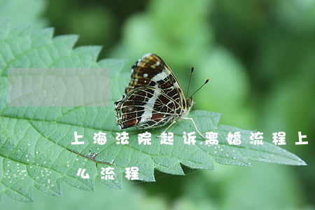 上海法院起诉离婚流程(上法院起诉离婚要什么流程)