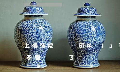上海法院駕駛證可以進(jìn)去嗎(上海不要駕駛證了嗎)