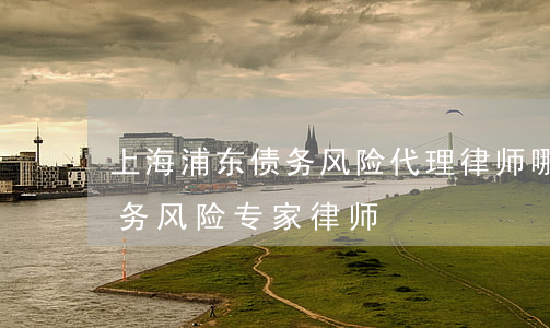 上海浦东债务风险代理律师哪个好-上海债务风险专家律师