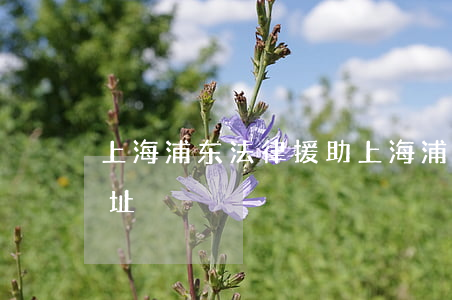 上海浦东法律援助(上海浦东法律援助中心地址)