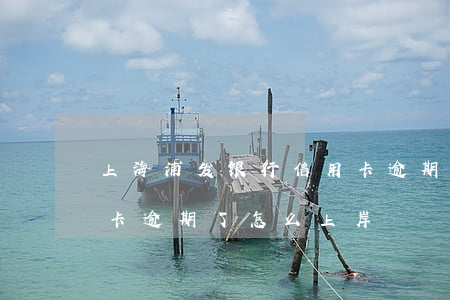 上海浦发银行信用卡逾期(上海浦发银行信用卡逾期了,怎么上岸)