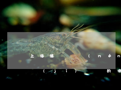 上海浦東專門(mén)打經(jīng)濟(jì)糾紛的律師(上海浦東專門(mén)打經(jīng)濟(jì)糾紛的律師)
